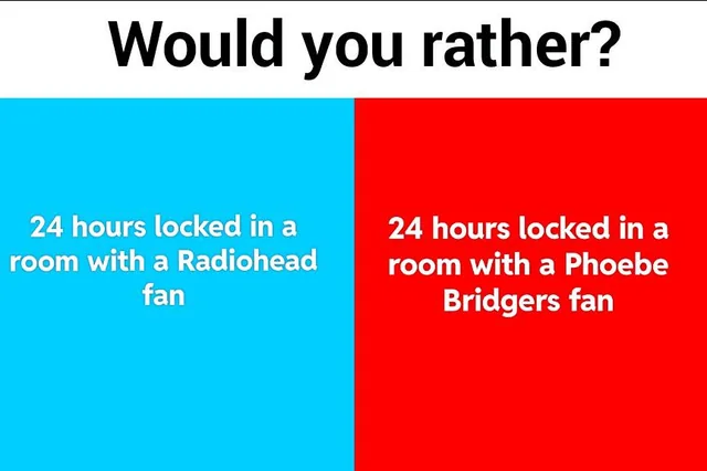 what is would you rather by phoebe bridgers about